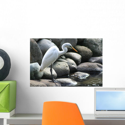The Crane Wall Mural