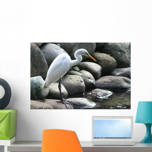 The Crane Wall Mural