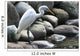 The Crane Wall Mural