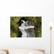 Kittens Outdoors in Natural Light Wall Mural