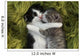 Kittens Outdoors in Natural Light Wall Mural