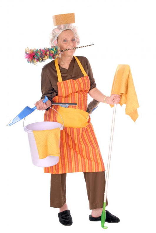 Cleaning Housewife Wall Decal