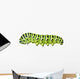 Aterpillar Swallowtail 6
