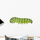 Aterpillar Swallowtail 6