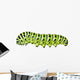 Aterpillar Swallowtail 6
