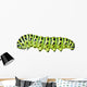Aterpillar Swallowtail 6