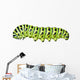 Aterpillar Swallowtail 6