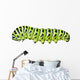 Aterpillar Swallowtail 6