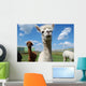 Alpacas and Blue Sky Wall Mural