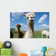 Alpacas and Blue Sky Wall Mural