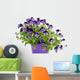 Violet Pansies Pot