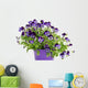 Violet Pansies Pot