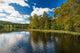 Forrest Lake