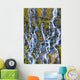 Mountain Net Waterfall