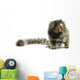 Marmoset Monkey Wall Decal