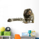 Marmoset Monkey Wall Decal