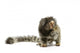 Marmoset Monkey Wall Decal