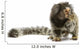 Marmoset Monkey Wall Decal