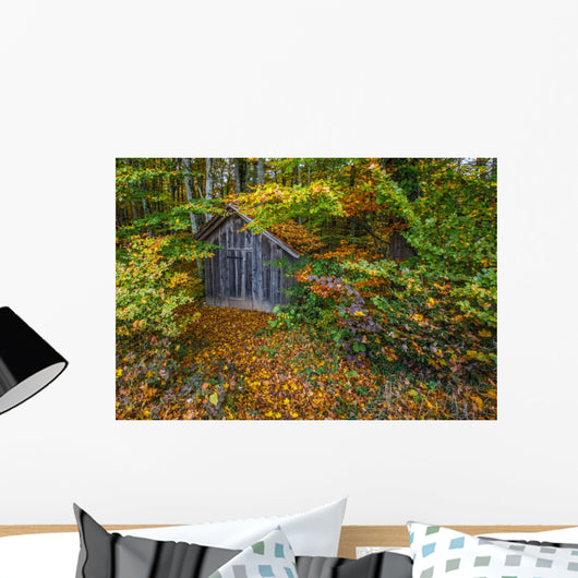 Hut Forest Wall Mural