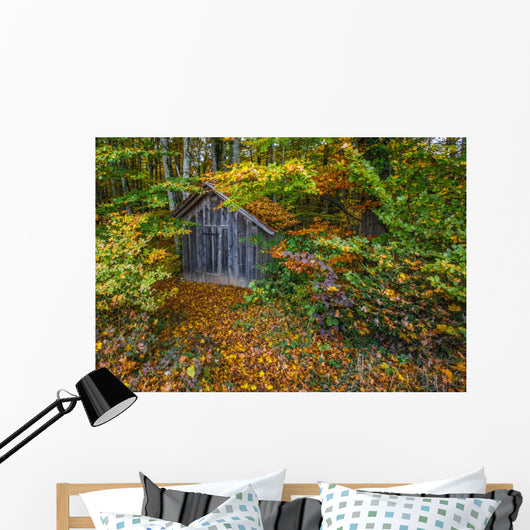 Hut Forest Wall Mural