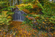 Hut Forest Wall Mural