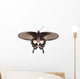 Parides Adamsoni Butterfly Wall Decal