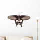 Parides Adamsoni Butterfly Wall Decal