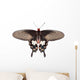 Parides Adamsoni Butterfly Wall Decal