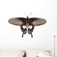Parides Adamsoni Butterfly Wall Decal