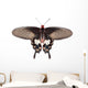 Parides Adamsoni Butterfly Wall Decal