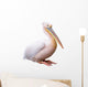 Great White Pelican Isolated over White Background Wall Decal