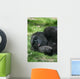 Sleeping Gorilla Wall Mural
