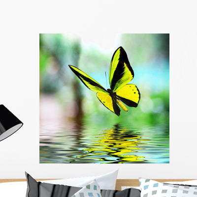 Butterfly 15 shown on a wall