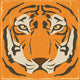Vintage Tiger Stripes Grunge