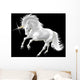 Unicorno
