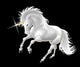 Unicorno