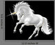 Unicorno
