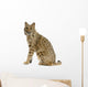 Bobcat Wall Decal
