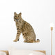 Bobcat Wall Decal