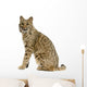 Bobcat Wall Decal