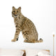 Bobcat Wall Decal