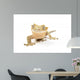 Crested Gecko Wall Mural