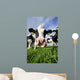 Curious Cow