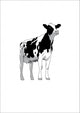 Holstein Cow Wall Mural