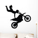 Stunt Rider