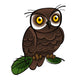 Owl Bird Wall Decal