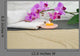 Orchid Candles and Sand