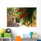 Bougainvillea