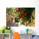 Bougainvillea