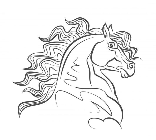 Horse Head Wall Mural